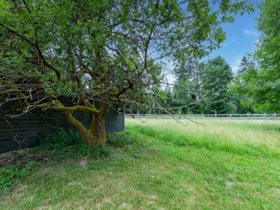 Holiday house Haustierfreundlicher Kurzurlaub - Environment photo 34