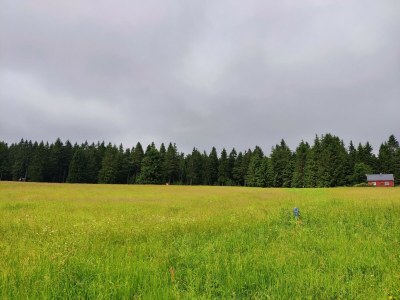 Apartment Ferienhaus mit Terrasse - Environment photo 25