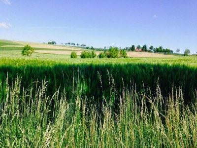Apartment Ferienhaus mit Terrasse - Environment photo 26