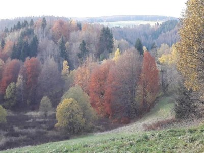 Apartment Ferienhaus mit Terrasse - Environment photo 30