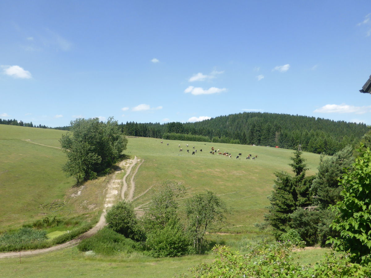 Holiday apartment Gerber - Outdoor photo 5