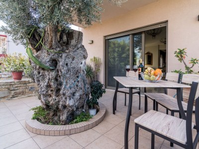 Villa Pitsidia-Olivetree - Outdoor photo 10