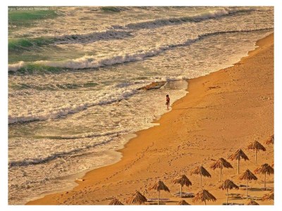 Villa Pitsidia-Olivetree - Environment photo 31