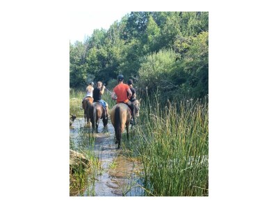 Holiday house Dario - Apartment Top 5 - Environment photo 17