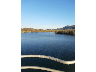 Holiday house Elena- Top 5 - Environment photo 22