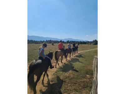 Holiday house Elena- Top 5 - Environment photo 24