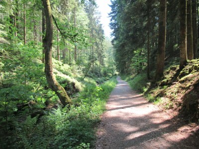 Chalet No title - Environment photo 20