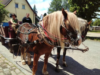 Chalet No title - Environment photo 21