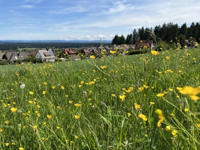 Chalet No title - Environment photo 29