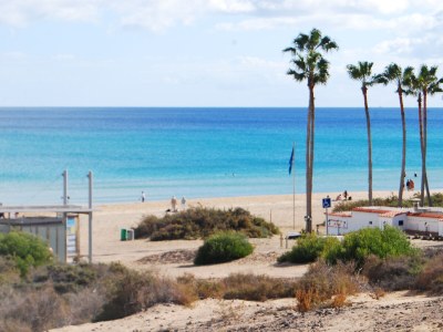 Bungalow Beachhouse Little Hawaii - Environment photo 32