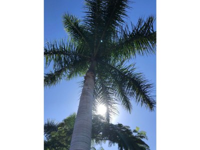 Bungalow Parque Golf - Environment photo 21