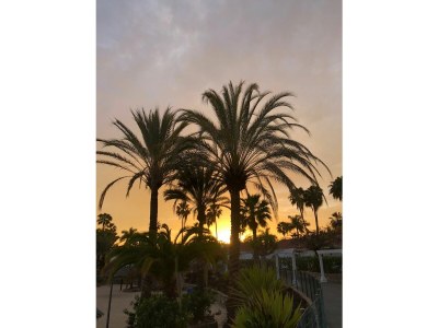 Bungalow Parque Golf - Environment photo 22