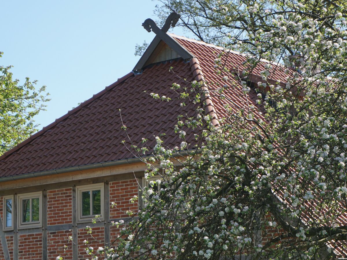 Cottage Uhlenhut - Outdoor photo 4