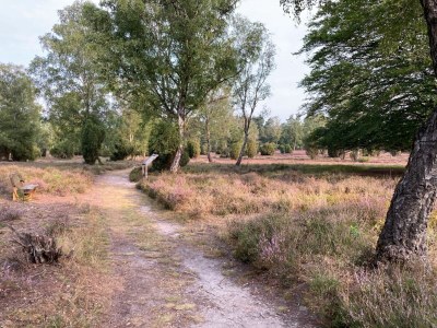 Cottage Uhlenhut - Environment photo 20