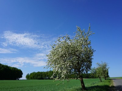 Cottage Uhlenhut - Environment photo 21