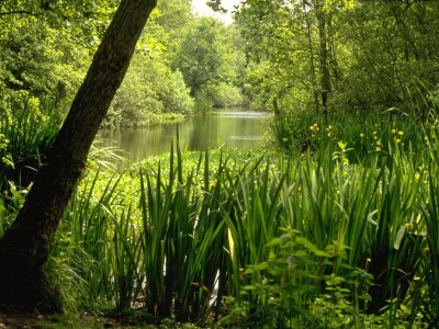Holiday house House next to the beach with heated pool - Environment photo 21
