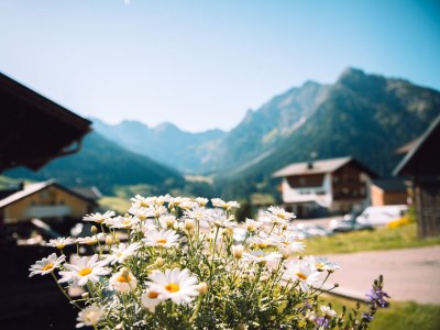 Apartment Almajur - Outdoor photo 7