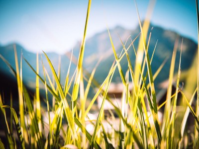 Apartment Almajur - Outdoor photo 10