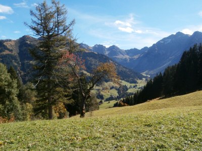 Apartment Almajur - Outdoor photo 15