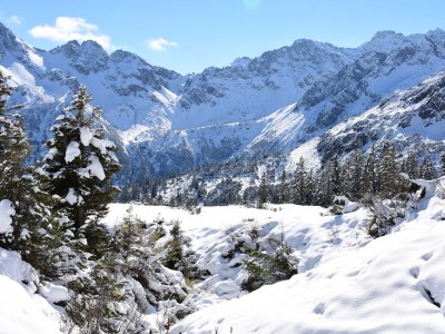 Apartment Almajur - Environment photo 32