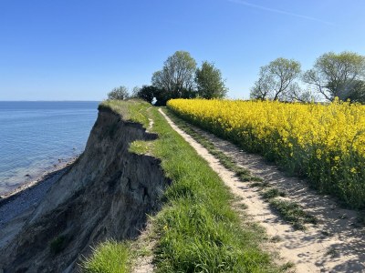 Holiday house Backbert & Steuerbert Kopperby - Environment photo 28