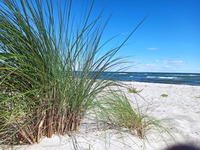 Holiday house Pippa - Environment photo 26