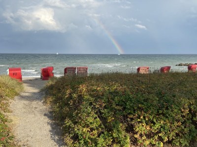 Holiday house Pippa - Environment photo 33