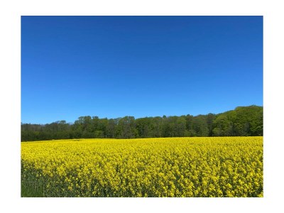 Holiday house Pippa - Environment photo 35