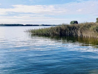 Holiday house Pippa - Environment photo 36