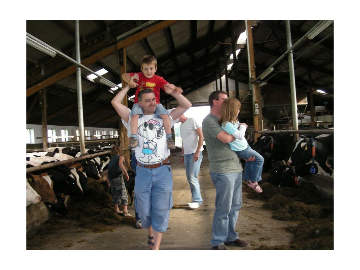 Apartment 4-Bett-Ferienwohnung Kornblume - Outdoor photo 3