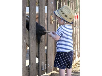 Apartment 4-Bett-Ferienwohnung Kornblume in Manderscheid - Apartment