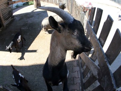 Apartment 4-Bett-Ferienwohnung Kornblume - Outdoor photo 14