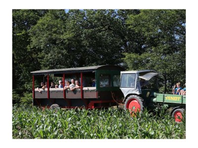 Apartment 4-Bett-Ferienwohnung Kornblume - Outdoor photo 17