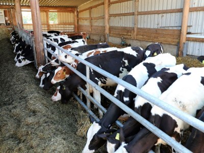 Apartment 4-Bett-Ferienwohnung Kornblume - Outdoor photo 42