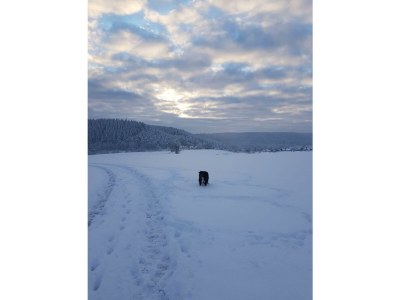 Apartment 4-Bett-Ferienwohnung Johann - Outdoor photo 12