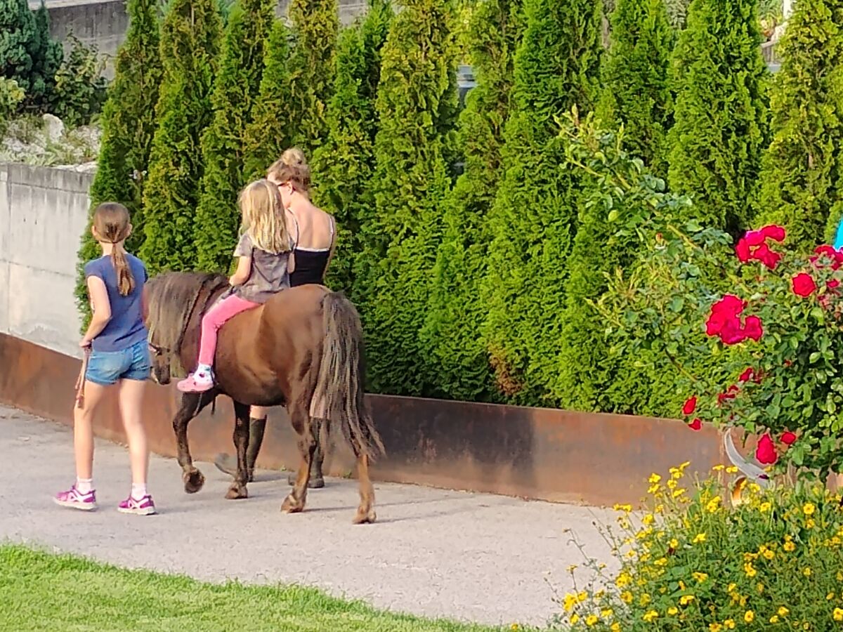 Holiday apartment Golden Delicious - Bauernhof Stadlgut - Outdoor photo 3