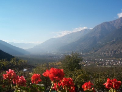 Holiday apartment Golden Delicious - Bauernhof Stadlgut - Features photo 18