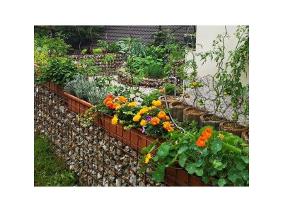 Holiday apartment Golden Delicious - Bauernhof Stadlgut - Environment photo 26