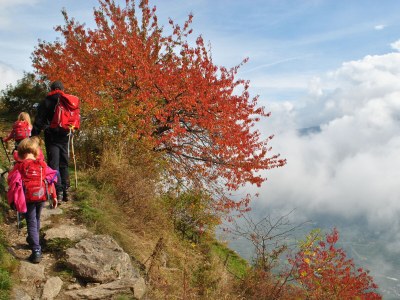 Holiday apartment Golden Delicious - Bauernhof Stadlgut - Environment photo 36