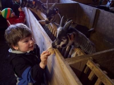 Holiday apartment Golden Delicious - Bauernhof Stadlgut - Environment photo 37