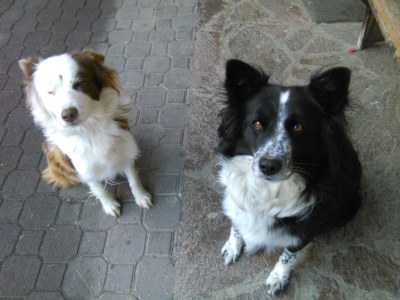 Holiday apartment Golden Delicious - Bauernhof Stadlgut - Environment photo 38