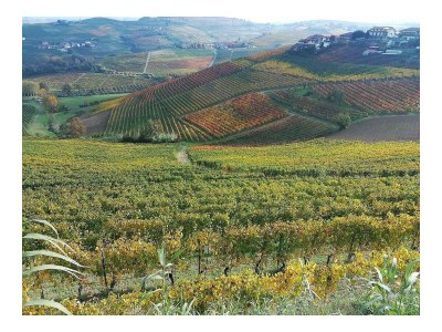 Holiday apartment Langhe e Roero - Casa da Angela - Outdoor photo 20