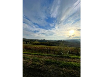 Holiday apartment Langhe e Roero - Casa da Angela - Outdoor photo 22