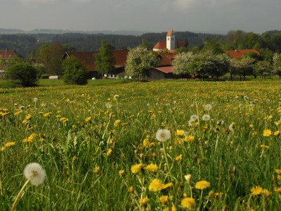 Holiday apartment in Allgäu, Familiy Kleinert - Outdoor photo 10