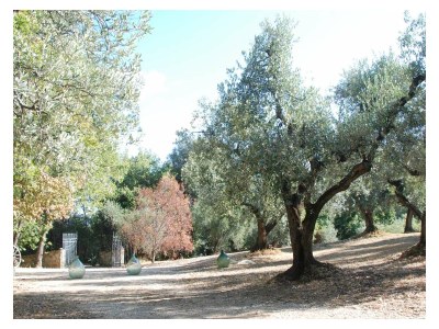 Holiday house Rosmarino - Outdoor photo 3