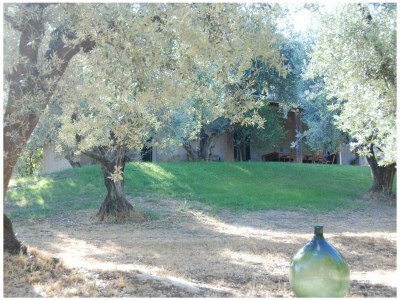 Holiday house Rosmarino - Outdoor photo 7