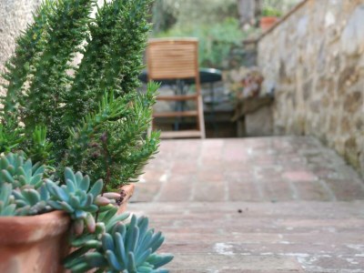 Holiday house Rosmarino - Outdoor photo 8