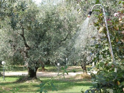 Holiday house Rosmarino - Outdoor photo 9