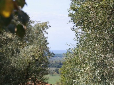 Holiday house Rosmarino - Outdoor photo 10