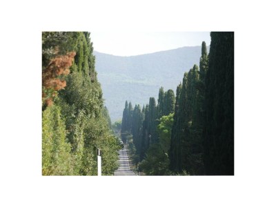 Holiday house Rosmarino - Environment photo 32